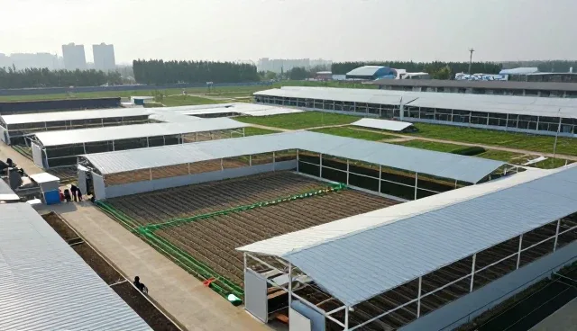 项目现场使用维修服务等有哪些优势